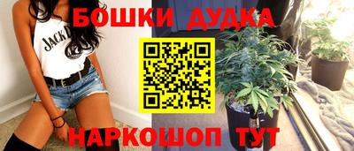 spice Бийск