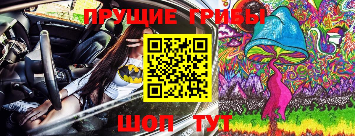 Грозный  Псилоцибиновые грибы MAGIC MUSHROOMS  Вход с VPN 